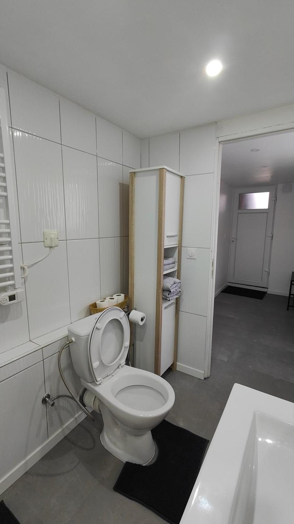 Bel Appartement F2 Entierement Renove Sélestat Buitenkant foto